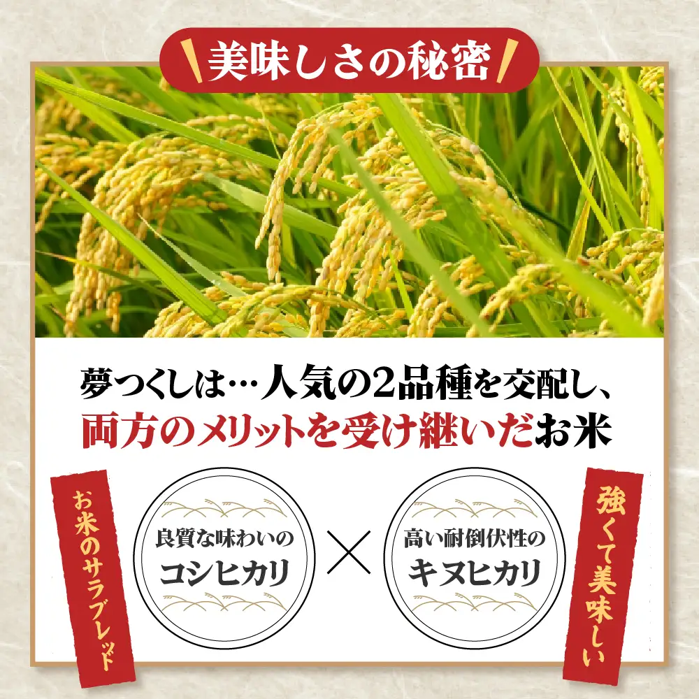 数量限定】夢つくし(精米) 福岡県産ブランド米 15kg (品番:3X12
