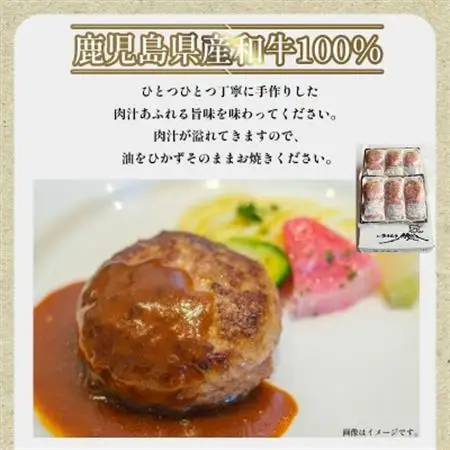 黒毛和牛100%ハンバーグ(2個入×6パック)【配送不可地域：離島】【1718866】