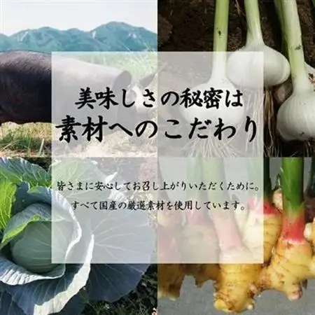 国産素材にこだわった鹿児島黒豚餃子120個【配送不可地域：離島】【1722553】
