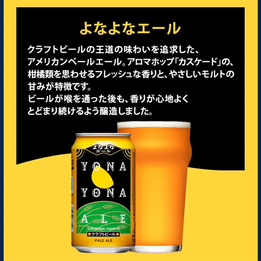【毎月定期便】長野県のクラフトビール(お酒)12本 ヤッホーブルーイングの3種飲み比べ全9回【4084822】