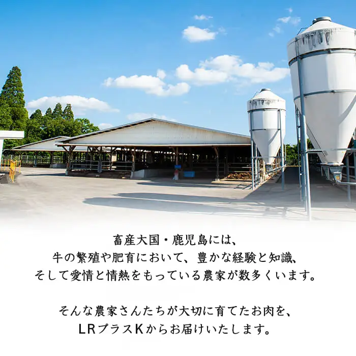 【小分け】＜A5等級＞鹿児島県産黒毛和牛 すき焼きしゃぶしゃぶセット(霜降りスライス・赤身スライス各200g×3P/計1.2kg) 牛肉 肉 小分け 鹿児島県産 国産 A5 すき焼き すきやき しゃぶしゃぶ 黒毛和牛 赤身 霜降り 食べ比べ b6-022