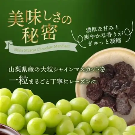 山梨県産シャインマスカット使用 大粒レーズンのチョコレート マンディアン 10個入り×2箱【配送不可地域：離島】【1719164】