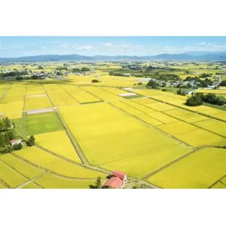 令和7年産　山形県産　つや姫　無洗米　4kg【1729420】