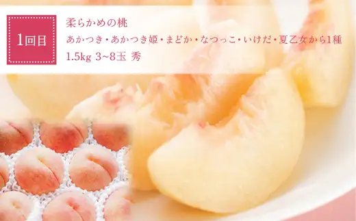 【定期便4回】 桃だらけ便 FSY-2729