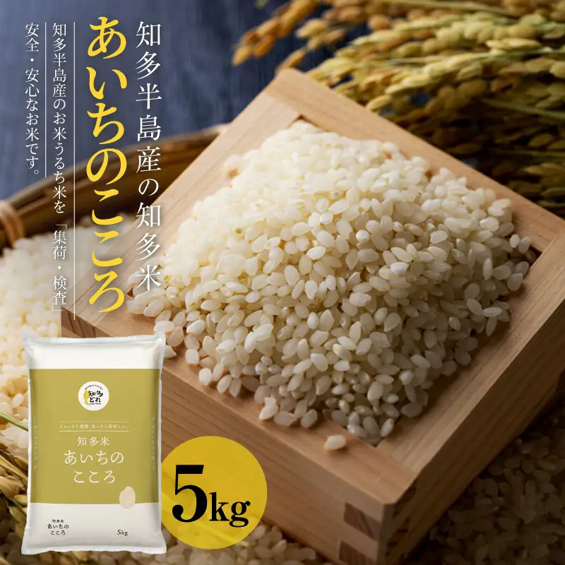 知多米 あいちのこころ 5kg