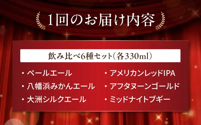 クラフトビール【全12回定期便】飲み比べ6種セット 計6本　愛媛県大洲市/株式会社　アライ[AGAY068]