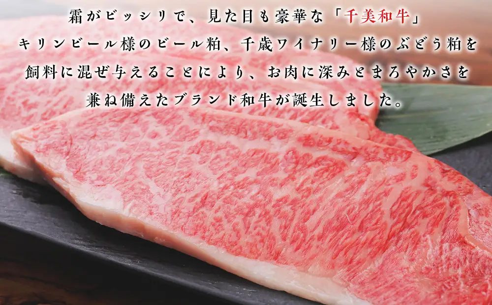 ちとせ和牛「千美」サーロインステーキ 200ｇ×4枚＜肉の山本＞