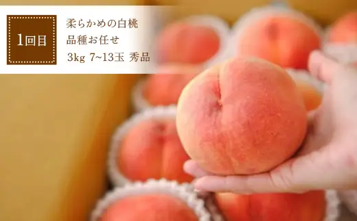 【定期便3回】 桃とりんごがたっぷり便 FSY-2741