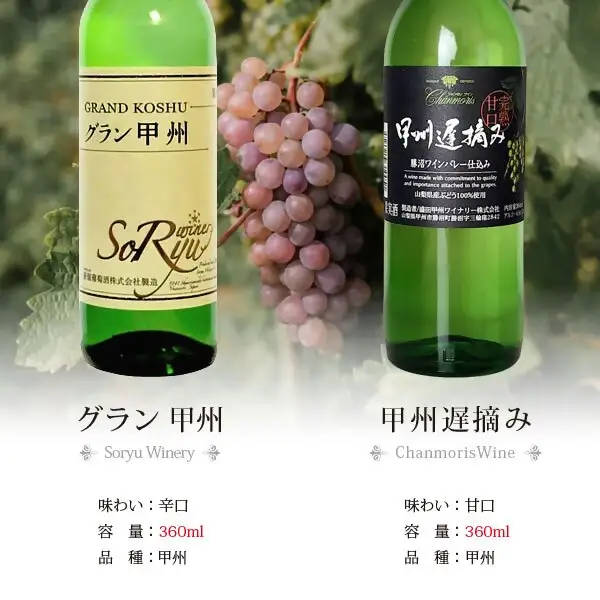 ワイン 飲みきりハーフボトル 白ワイン 5本セット（CKH）B17-770