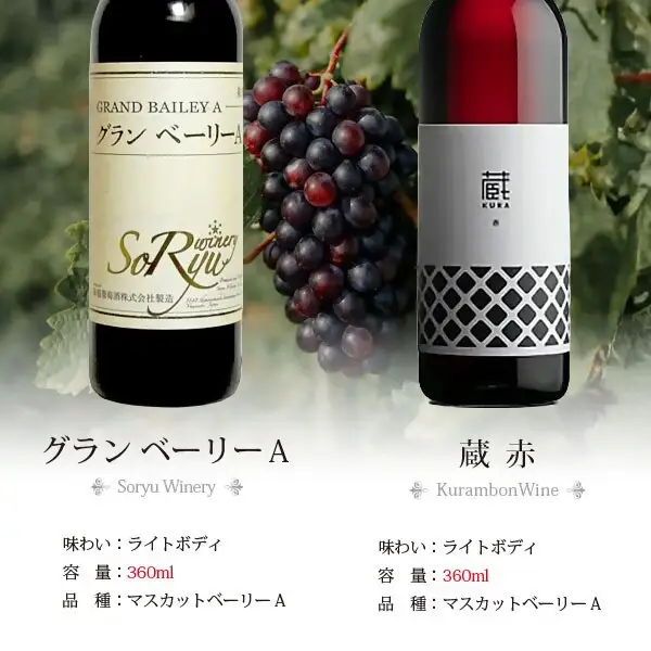 ワイン 飲みきりハーフボトル 赤ワイン 5本セット（CKH）B17-771