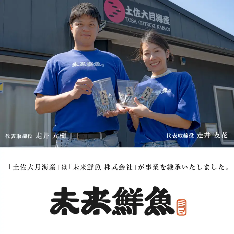 旬のお刺身用 柵セット 4～6種 高知県産 刺身 盛り合わせ 食べ比べ 刺身セット 鮮度抜群 産地直送 海の幸 海鮮 魚介 新鮮 おつまみ 酒 海鮮丼 寿司 厳選 ギフト おすすめ 人気 刺し身 さしみ お中元 お歳暮 カルパッチョ お取り寄せ
