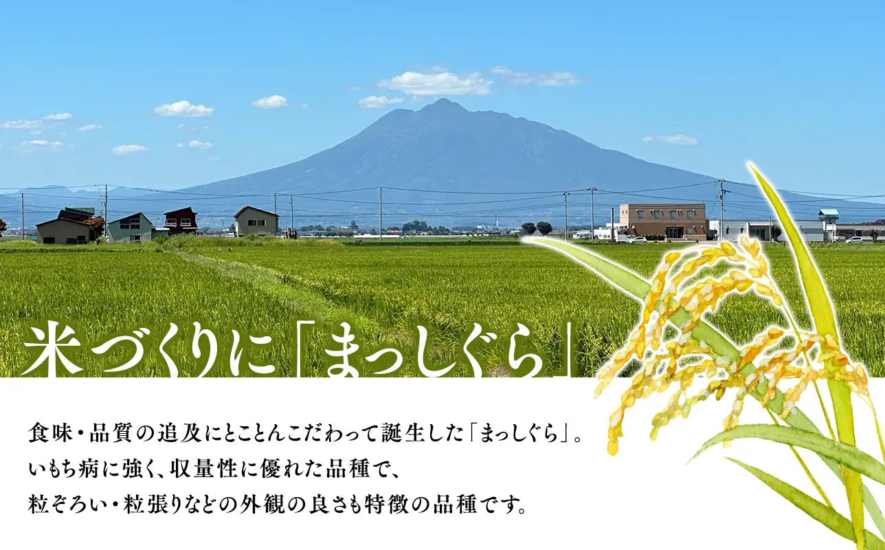≪令和8年産 先行予約≫2月中旬よりお届け! 青森県平川市産まっしぐら10kg(玄米)【hi-0062-014-2】