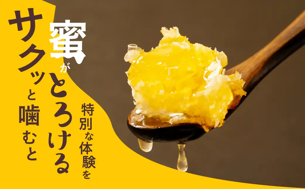 はちみつたっぷり巣蜜≪200g≫ 蜂蜜 はちみつ 国産 非加熱 純度100% 巣蜜 盛り上げ巣 常温 はちみつ ハチミツ 蜂蜜 ハニー 蜜切れ セット ハチミツセット 贈答 プレゼント 贈り物 貴重 希少 おススメ 高級 送料無料 愛知県 豊橋市