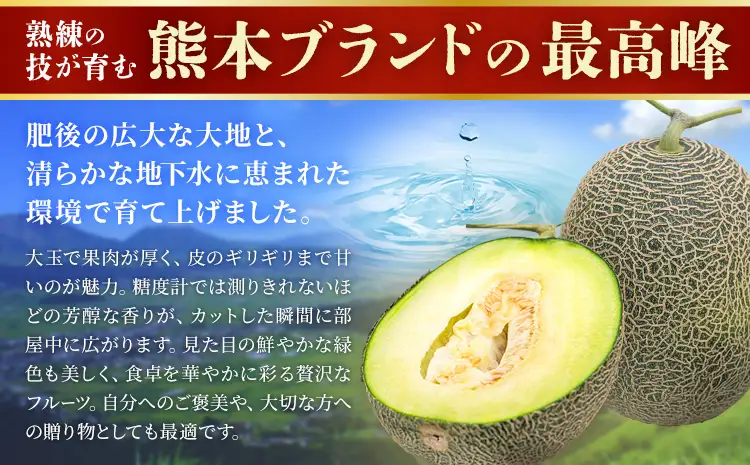 【先行予約】肥後グリーンメロン 4～6玉 約7kg 日本フルーツ株式会社《5月上旬-7月下旬頃出荷》熊本県 菊池市 メロン 熊本県産