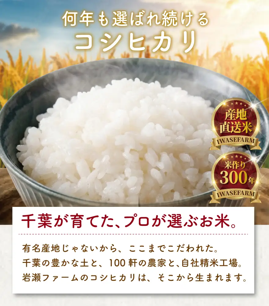 こしひかり 5kg コシヒカリ 8000円 令和7年産 [IWS004]