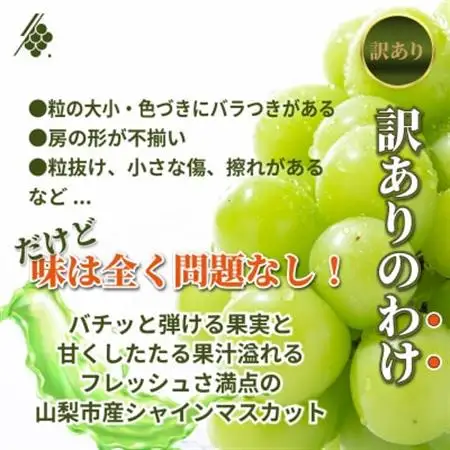 シャインマスカット 2～3房 計1kg 訳あり ご家庭用【配送不可地域：離島・沖縄県】【1729248】
