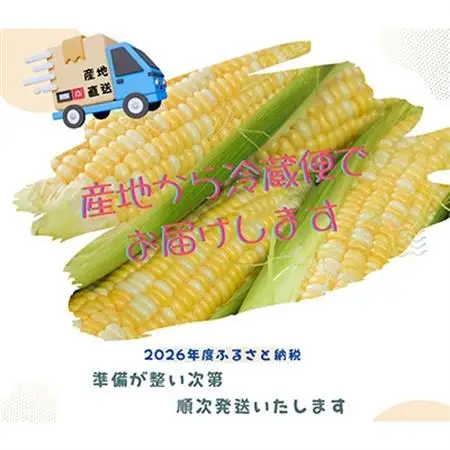 【2026年度先行受付】愛知県みよし市産 朝採り「夢コーン。」Lサイズ8本セット 数量限定【配送不可地域：離島】【1727417】