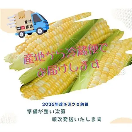 【2026年度先行受付】愛知県みよし市産 朝採り「夢コーン。」 Lサイズ　40本セット　数量限定【配送不可地域：離島】【1727420】