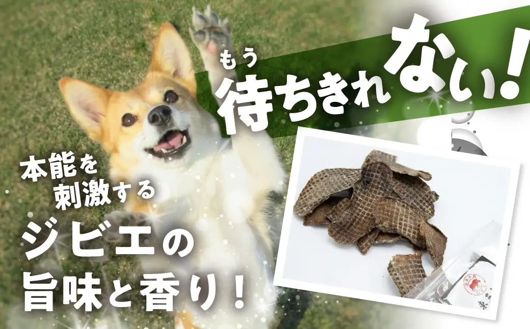 ごちそうペットフード イノシシボーンブロススープ 2袋 計630g ジビエ ボーン スープ 骨 ペット 犬 愛犬 ワンちゃん わんちゃん ごはん ご飯 いのしし イノシシ 猪 低カロリー たんぱく質 健康 ペット用品 エサ えさ おやつ