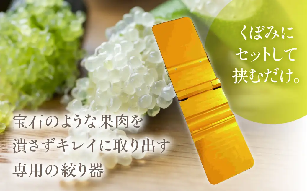 フィンガーライム絞り器 カラー：赤 フィンガーライム FINGER LIME キャビアライム フルーツキャビア 森のキャビア 柑橘 雑貨 調理器具 絞り器 愛知県 田原市 渥美半島 国産