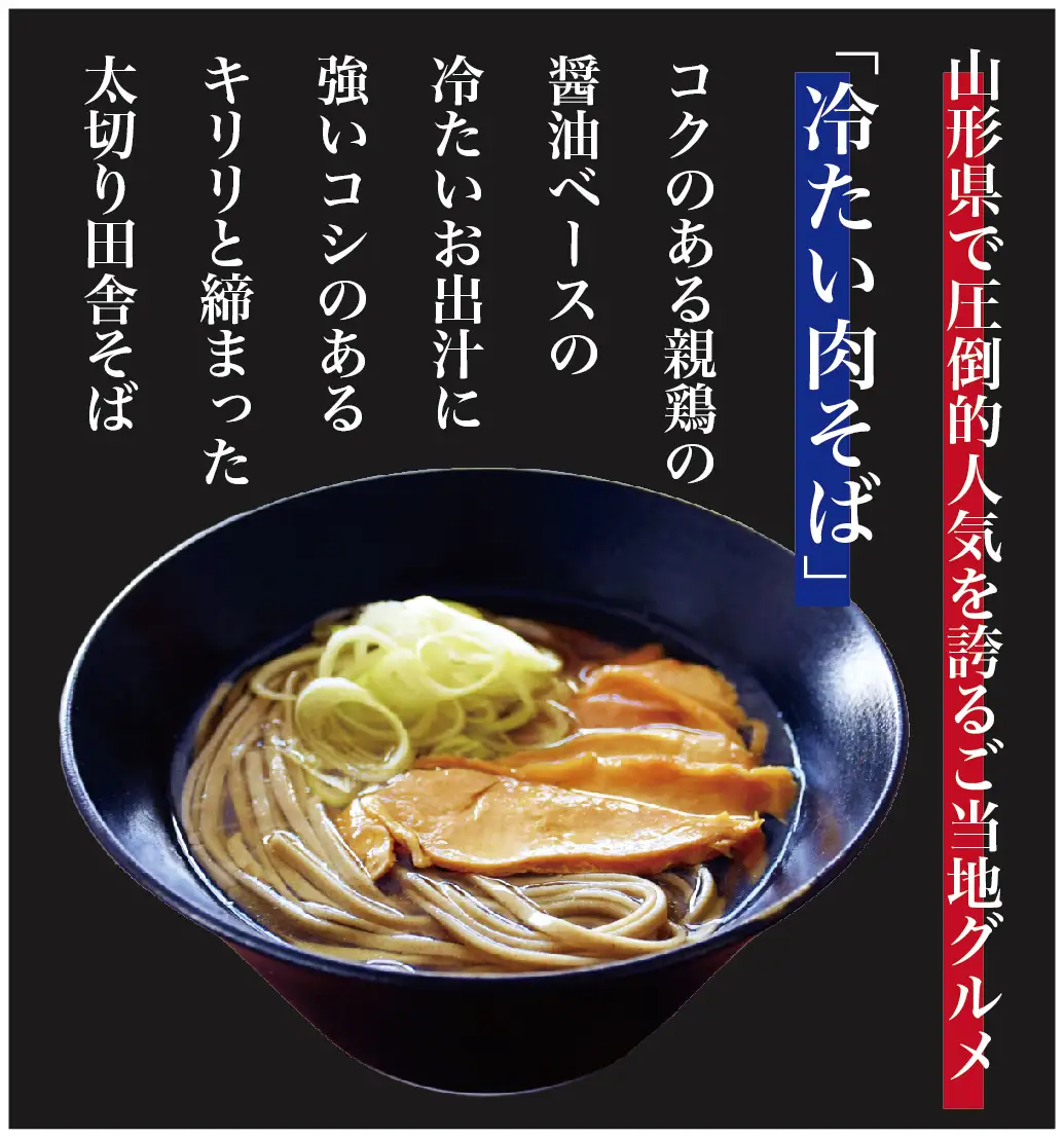 山形名物！冷たい肉そば ＜タレ・具入り＞ 8人前（2人前×4箱）　024-F-TB015