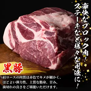 鹿児島産黒豚 肩ロースブロック 計2kg（ブロック1kg×2本）【財宝】_y595