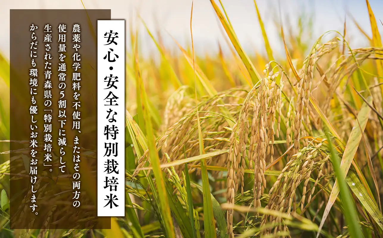≪令和8年産 先行予約≫1月中旬よりお届け! 　特別栽培米 はれわたり白米20kg【青森県 平川市】［hi-0062-019-1］