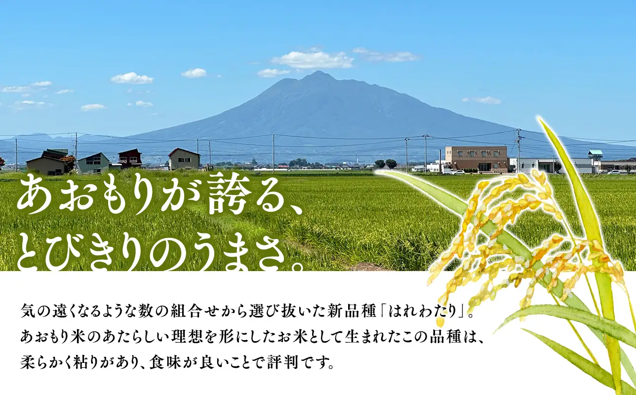 ≪令和8年産 先行予約≫1月中旬よりお届け! 　特別栽培米 はれわたり玄米20kg【青森県 平川市】先行予約 米 お米 玄米 青森県産 産地直送 おにぎり 朝ご飯 冷めてもおいしい ご飯  コメ こめ 白米 ごはん ブランド米 特A 特A米 お取り寄せ グルメ［hi-0062-020-1］