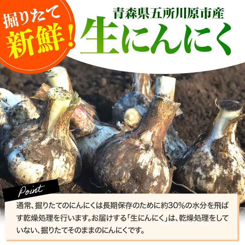 にんにく　生にんにく3kgＭＬサイズ混合土つき2026年6月下旬～発送