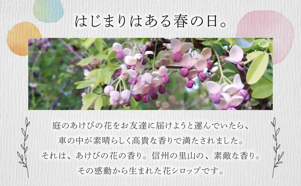 信州の花シロップ　お任せ3種（たんぽぽ、よもぎ、あけびの花、カモミール、野ばらのうち3種）【里山たんぽぽ工房】