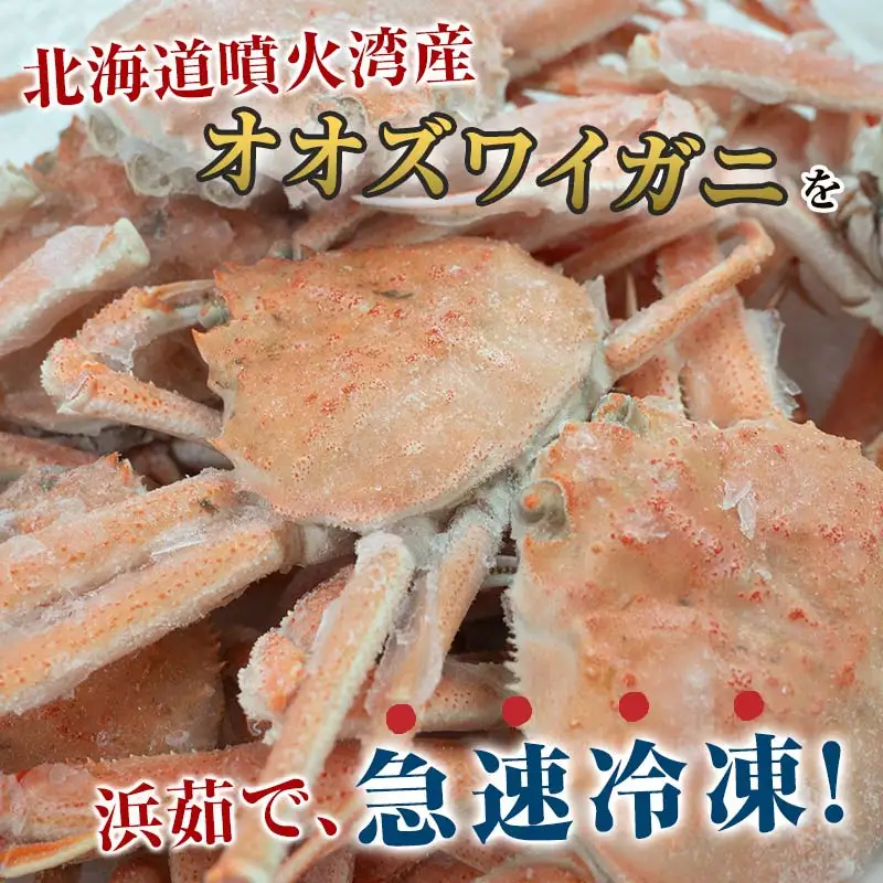 【訳あり】浜茹でオオズワイガニ 1.5kg 詰め込みセット 北海道噴火湾産 ＜道産ネットミツハシ＞ かに カニ 蟹 がに 北海道 森町 ふるさと納税 mr1-1381