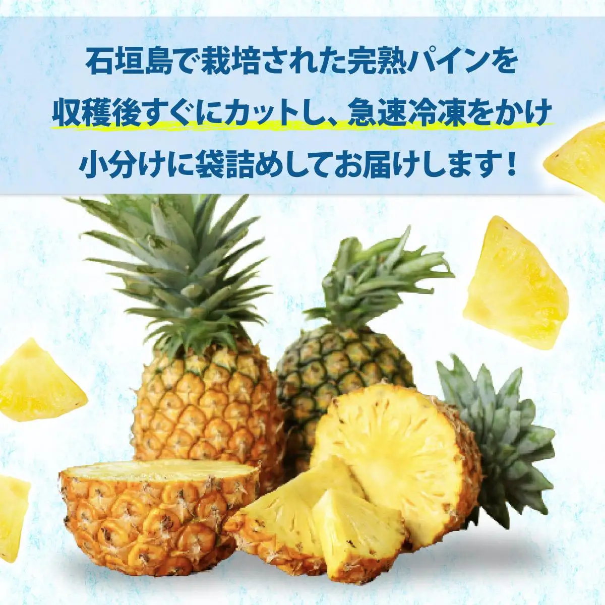 冷凍カットパイン（スナックパイン）100g×6袋 