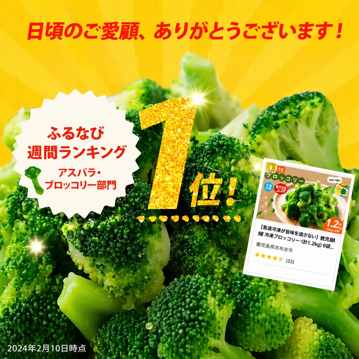 鹿児島県産 冷凍 ブロッコリー (計1.2kg) a0-388