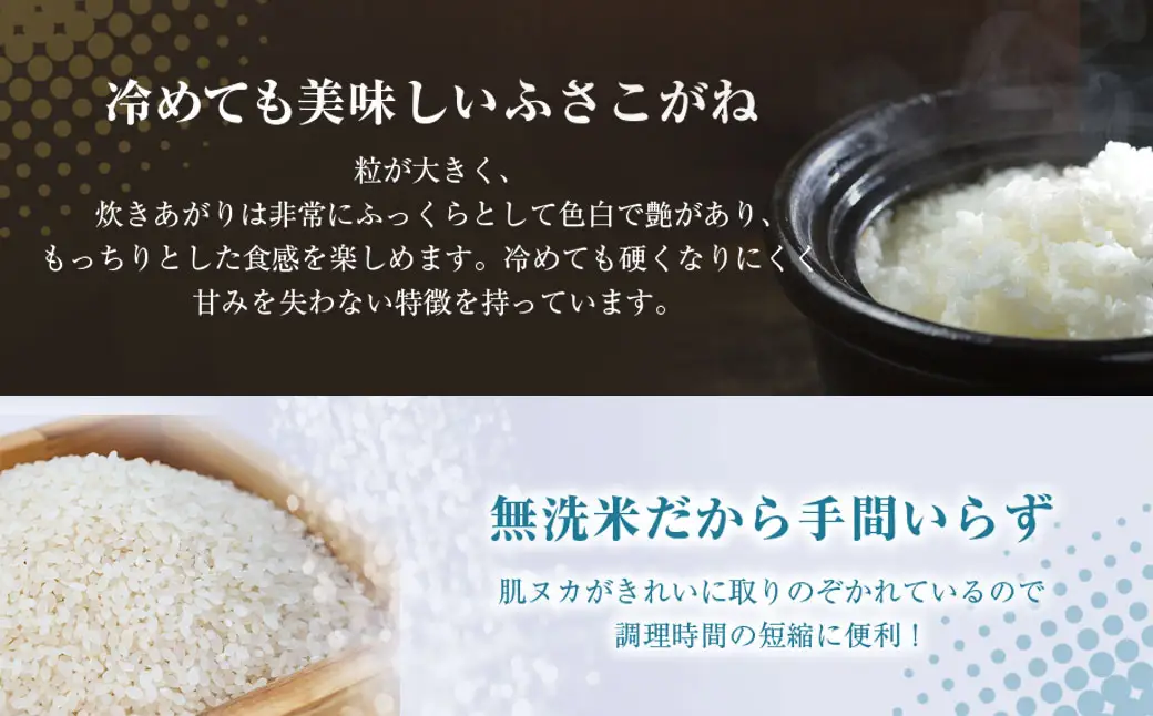 ≪4ヶ月定期便≫房の黄金米「ふさこがね」10kg × 4回 計40kg SMBR016