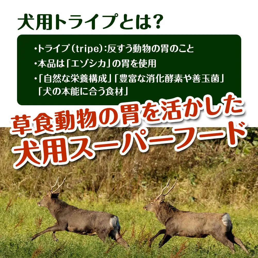 乾燥ホルモントライプ 20g×2袋