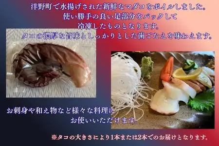 【冷凍】種市産ボイルたこ（足）約700～900g