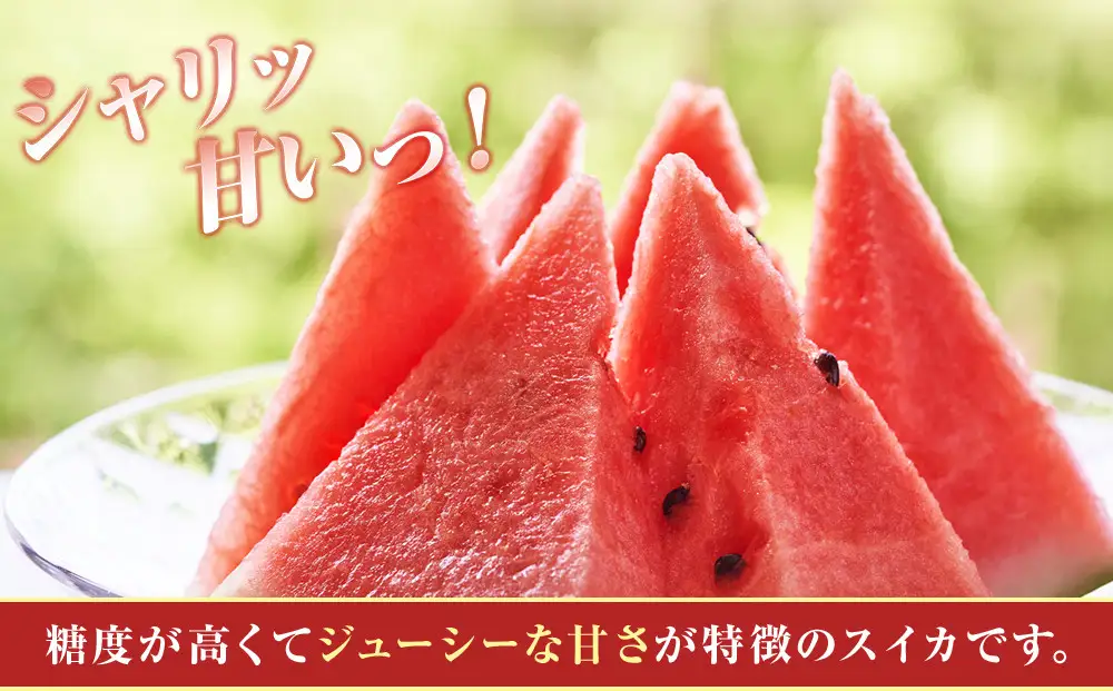 【先行予約】 朝採り！ 富山市婦中町特産「朝日すいか」１玉(約７～８kg)【2026年7月頃〜8月中旬頃まで順次発送】　産地直送 大玉