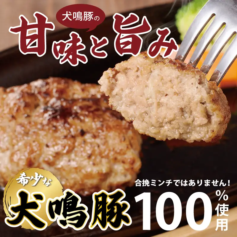 【泉佐野ブランド豚】犬鳴豚の手作りプレミアムハンバーグ（10個入り）×6回