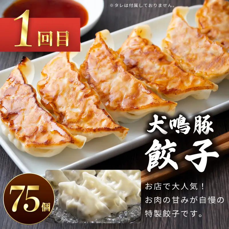 【泉佐野ブランド豚】犬鳴豚餃子 75個／手作りプレミアムハンバーグ（10個入り） 全2回