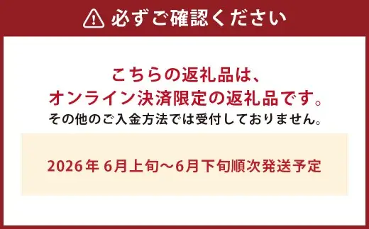 【地元民が愛する幻のすいか】 長浦すいか （L玉以上／6kg～） 【2026年6月上旬～6月下旬迄発送予定】 琴海 果汁 食感 旬 すいか スイカ 西瓜 果物 くだもの 果実 フルーツ 希少