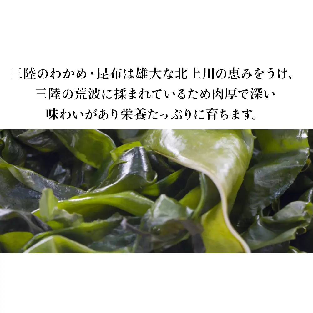 マルイチ西條水産の 塩蔵わかめ 5袋 セット わかめ ワカメ 肉厚 十三浜産 海藻 海鮮 海産物  みそ汁 サラダ 酢の物 宮城県 宮城 石巻市 石巻