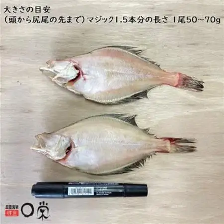 【訳あり】一夜干しかれい 宗八 SSサイズ16尾【配送不可地域：離島】【1724572】