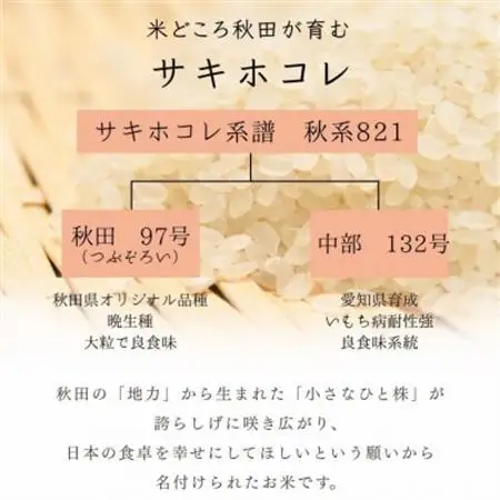 サキホコレ10kg　秋田県産特別栽培米　5kg×2袋　大潟村のお米【令和7年産】精米【配送不可地域：離島・沖縄県】【1726016】