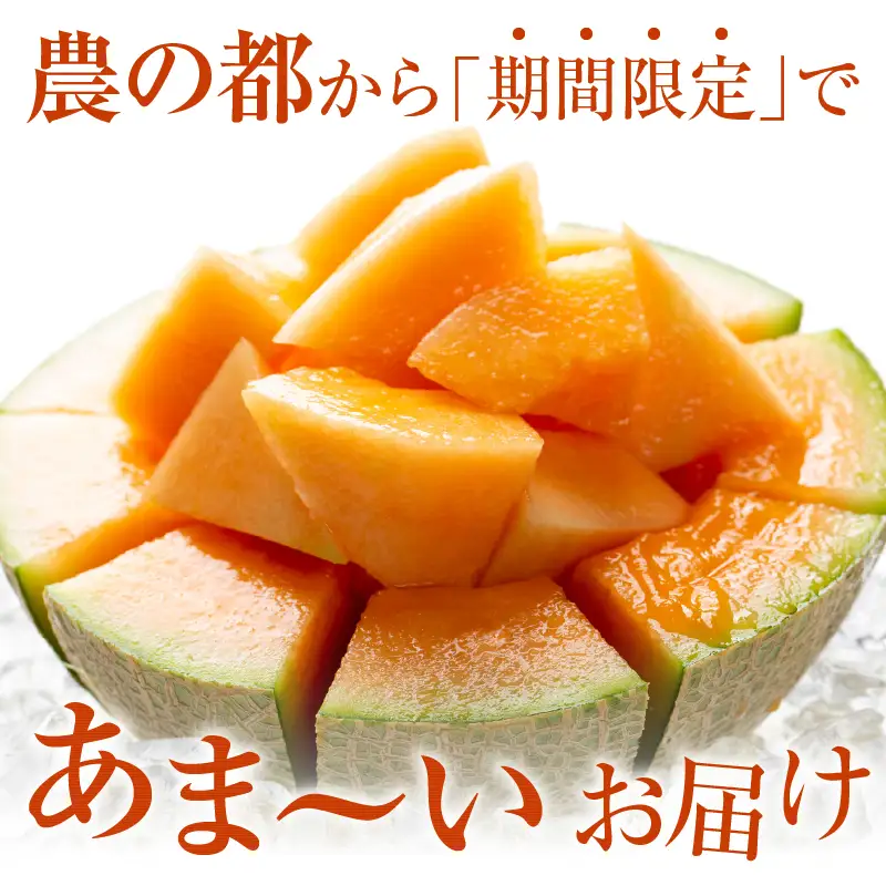 夏用 先行予約≪期間限定≫都農町産「赤肉メロン」計2玉 フルーツ 果物 デザート 国産_T015-0065-N