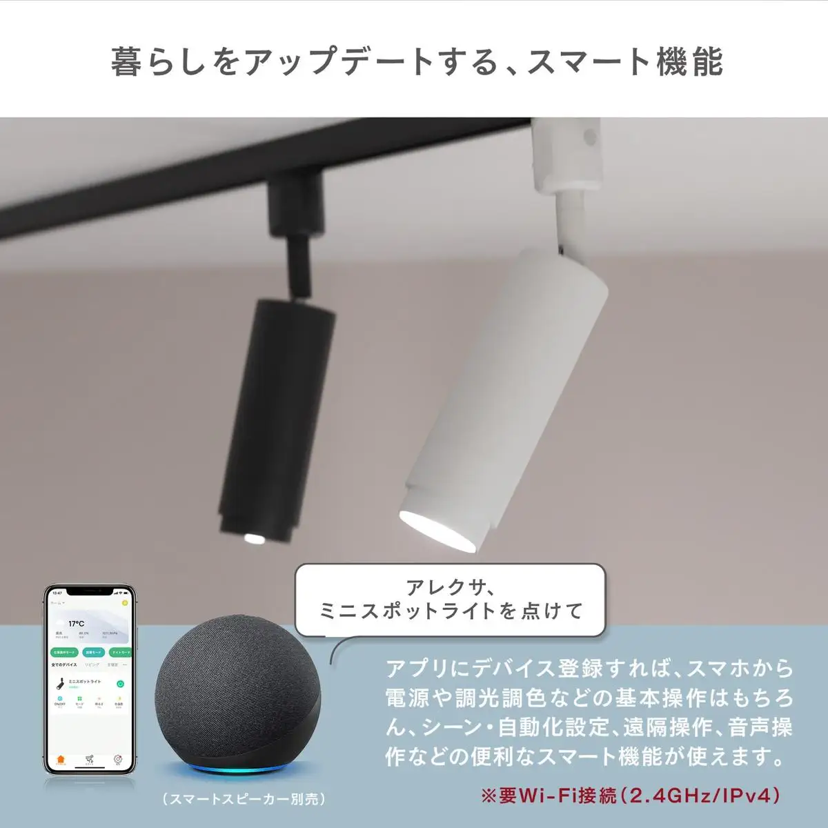 エジソンスマート ミニスポットライト 福岡市 ブラック