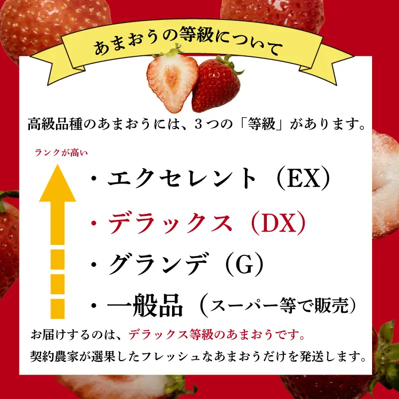 【2027年2月上旬‐3月上旬発送】先行予約 福岡県産 いちご あまおう  約250g×6P (約1500g) ｜苺 イチゴ KBY