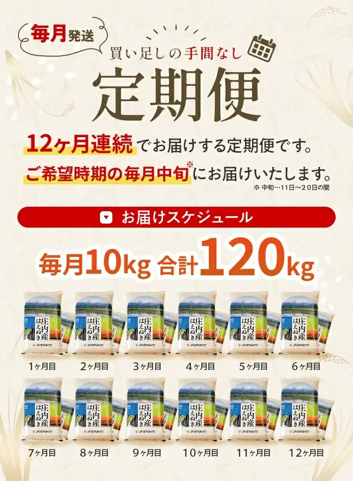 【定期便】はえぬき10kg×12ヶ月連続中旬発送 計120kg(6月～5月) [1501T06]