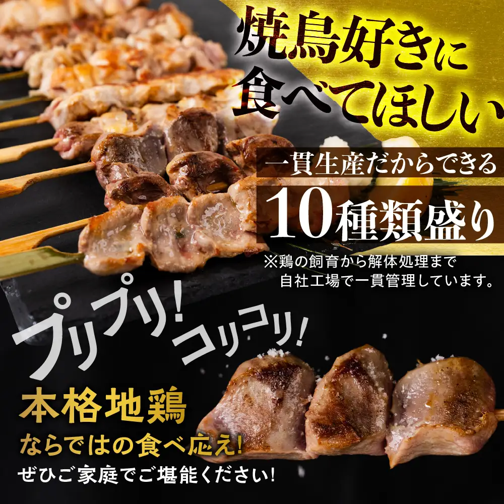 飛騨地鶏 焼き鳥 10種20本 食べ比べ 焼き鳥 