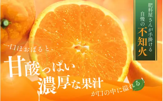 【先行予約】秀品 露地不知火 5kg 【L～3Lのサイズおまかせ】【2027年1月下旬から2027年4月上旬頃に順次発送】＜味好農園＞/不知火 デコポン 蜜柑 みかん 柑橘 果物 フルーツ 【agy010-p-5】