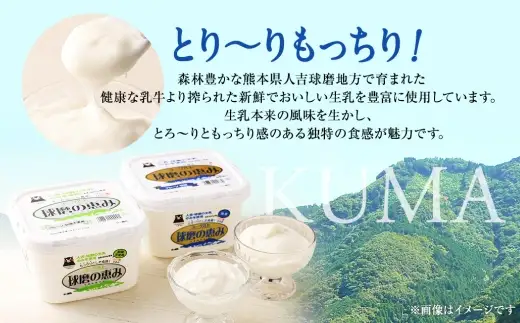 とろ～り食感！！球磨の恵みヨーグルトセット 1kg×2パック ( 砂糖不使用 ・ 加糖 各1パック ) ヨーグルト とろり食感 健康 牛乳 自然豊か セット 乳製品